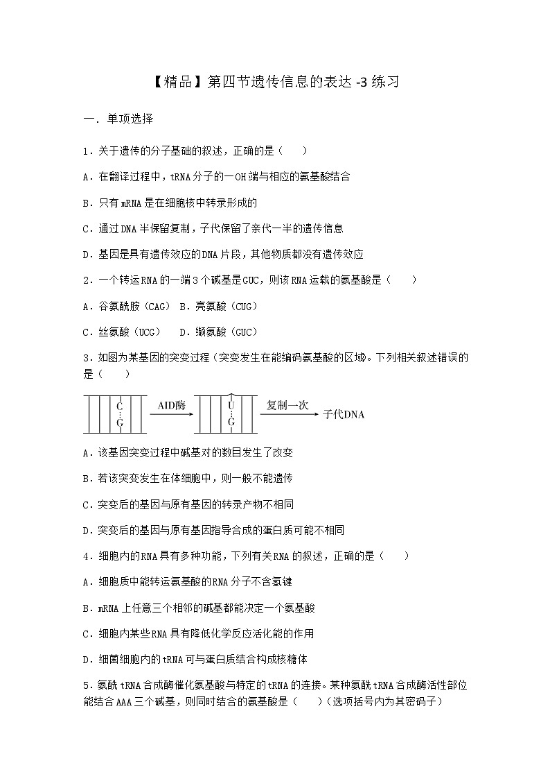 沪教版高中生物必修2第四节遗传信息的表达作业含答案1第1页