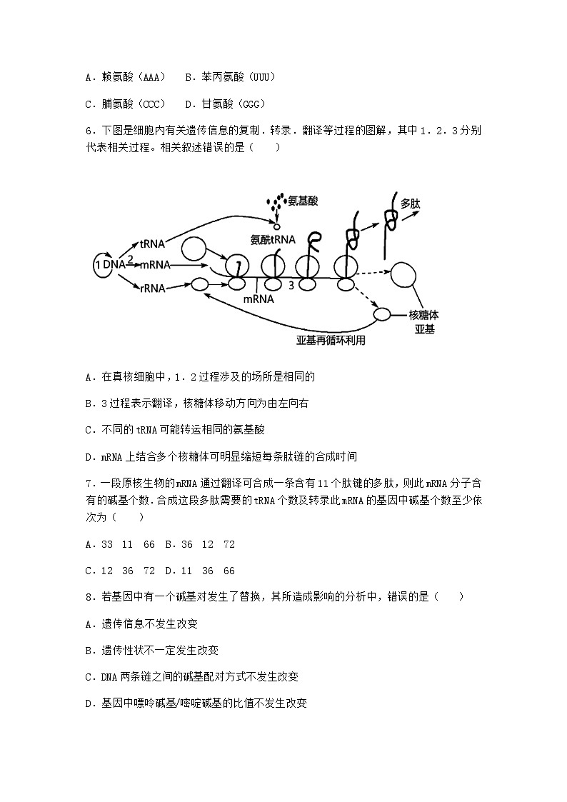 沪教版高中生物必修2第四节遗传信息的表达作业含答案1第2页