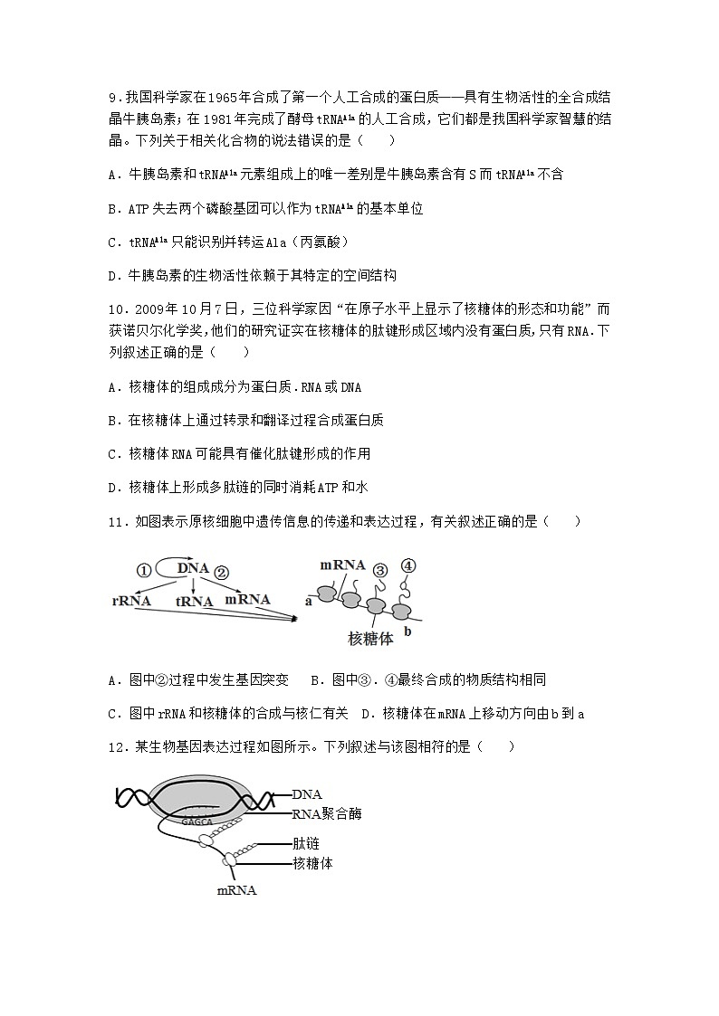 沪教版高中生物必修2第四节遗传信息的表达作业含答案1第3页
