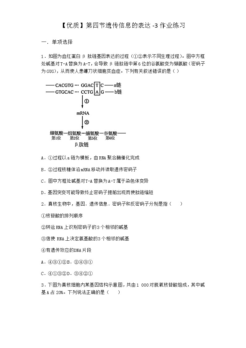 沪教版高中生物必修2第四节遗传信息的表达作业含答案2第1页