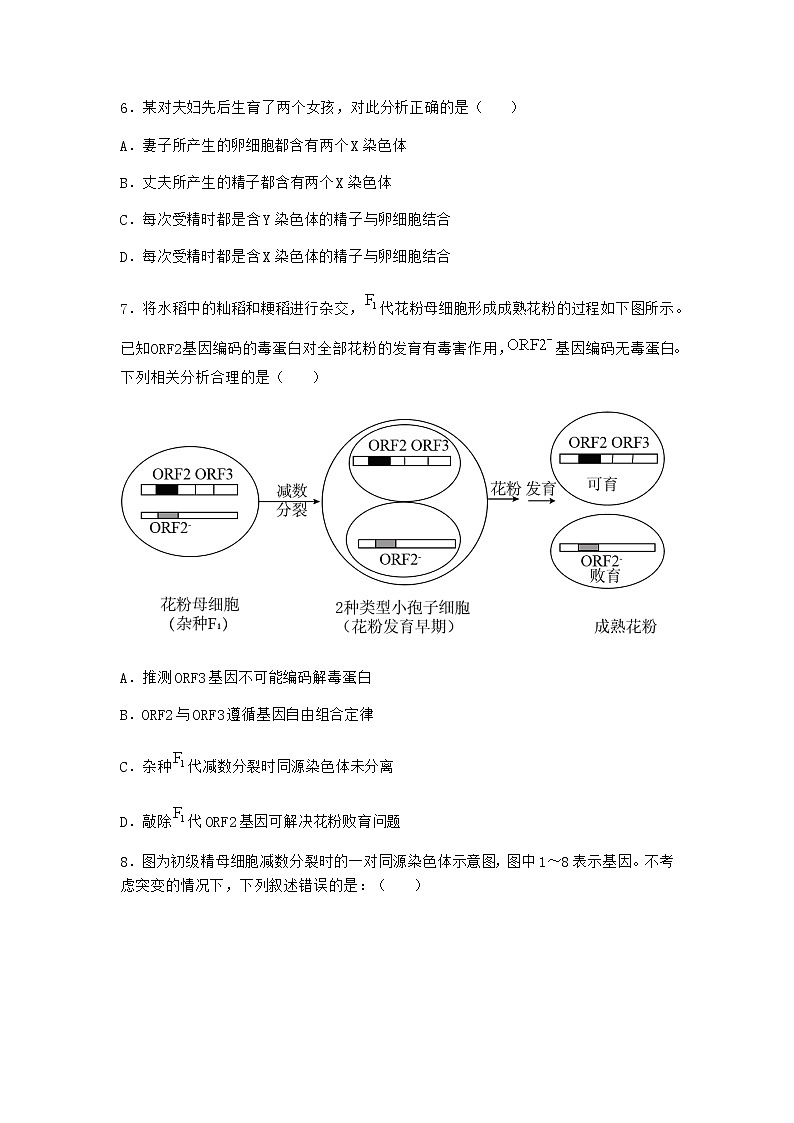 沪教版高中生物必修2第一节减数分裂产生染色体数量减半的生殖细胞作业含答案102