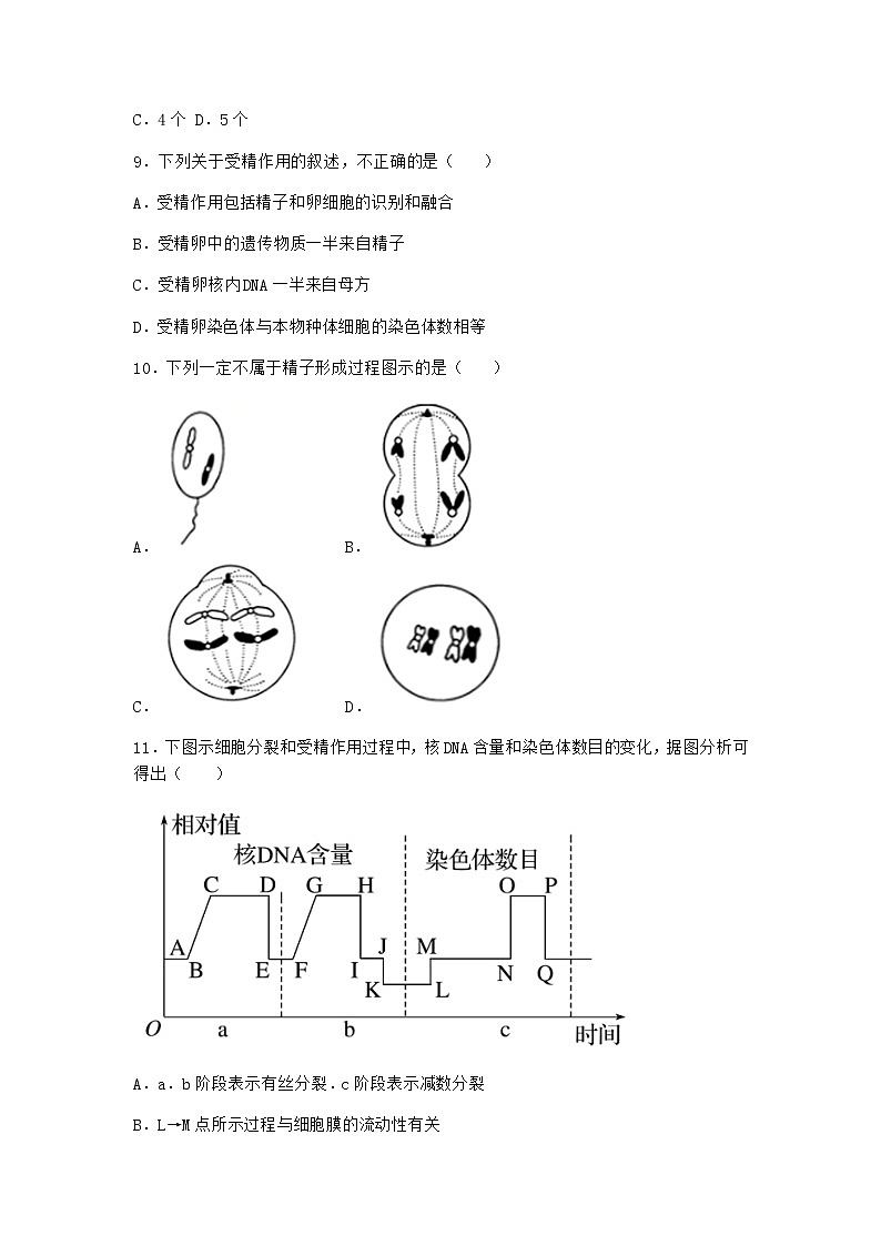 沪教版高中生物必修2第一节减数分裂产生染色体数量减半的生殖细胞作业含答案403