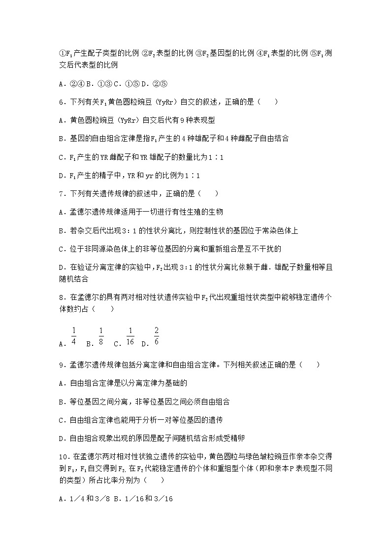 沪教版高中生物必修2第四节有性生殖中发生基因的自由组合作业含答案3第2页