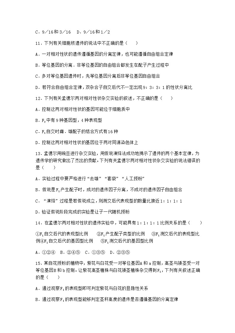 沪教版高中生物必修2第四节有性生殖中发生基因的自由组合作业含答案3第3页