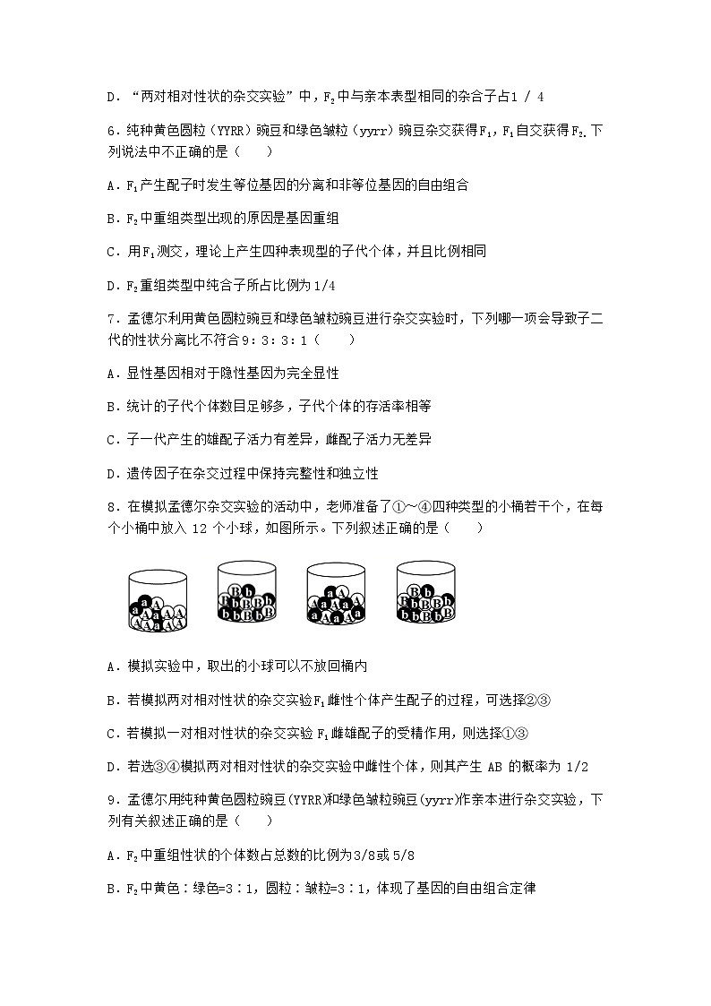 沪教版高中生物必修2第四节有性生殖中发生基因的自由组合作业含答案5第2页