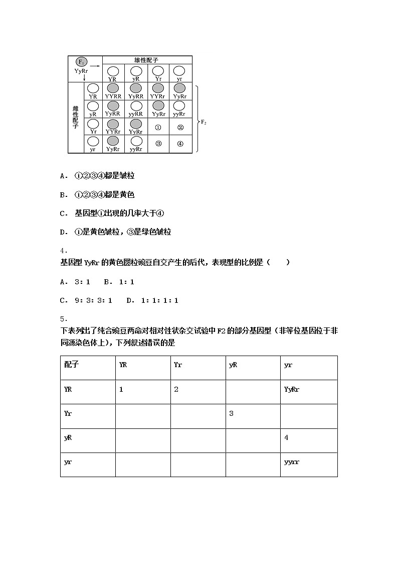 沪教版高中生物必修2第五节基因的自由组合定律在实践中的应用作业含答案3第2页