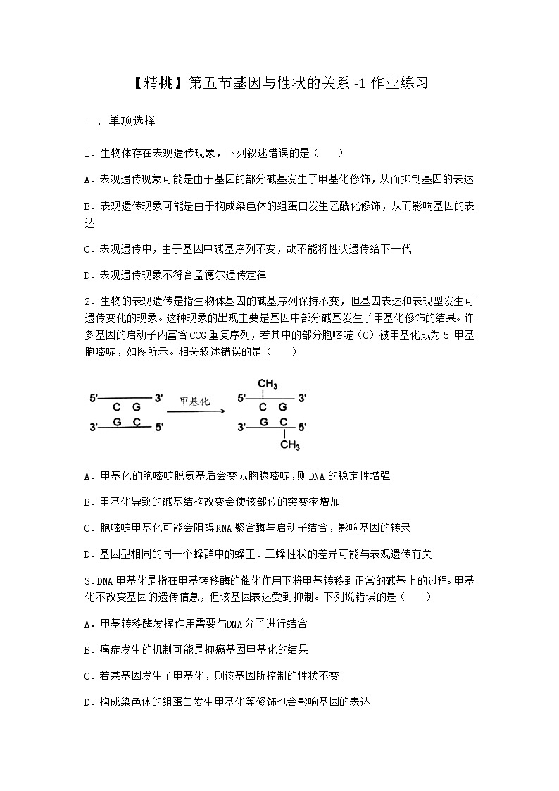 沪教版高中生物必修2第五节基因与性状的关系作业含答案01