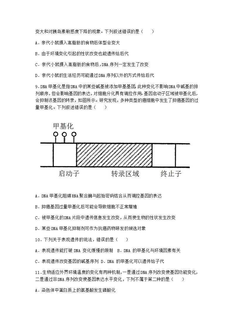 沪教版高中生物必修2第五节基因与性状的关系作业含答案03
