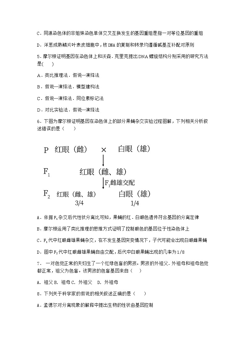 沪教版高中生物必修2第六节性染色体上的基因传递与性别相关联课时作业含答案102