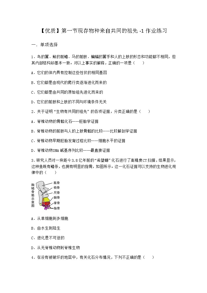 沪教版高中生物必修2第一节现存物种来自共同的祖先作业含答案2第1页