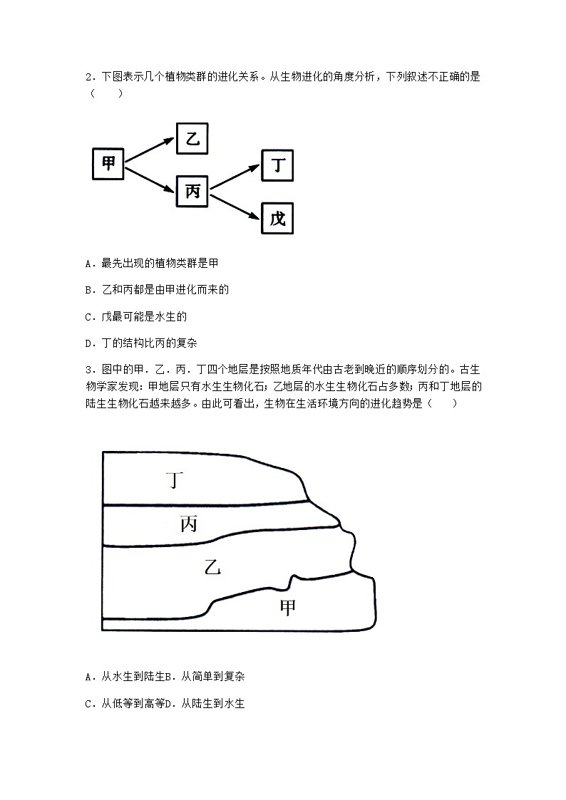 沪教版高中生物必修2第一节现存物种来自共同的祖先课时作业含答案02