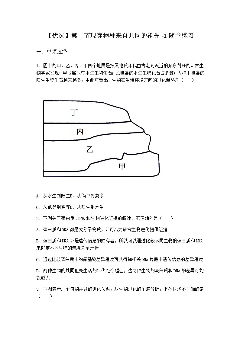 沪教版高中生物必修2第一节现存物种来自共同的祖先随堂作业含答案01
