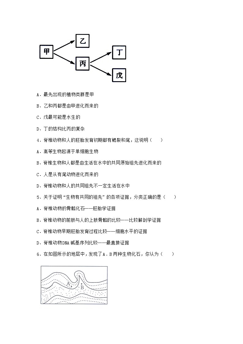沪教版高中生物必修2第一节现存物种来自共同的祖先随堂作业含答案02