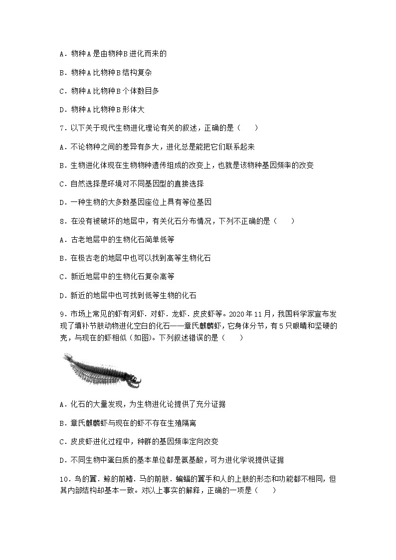 沪教版高中生物必修2第一节现存物种来自共同的祖先随堂作业含答案03
