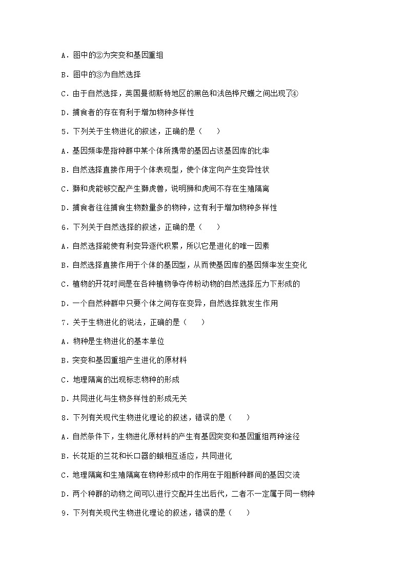 沪教版高中生物必修2第三节生命进化史是自然选择的结果作业含答案1第2页
