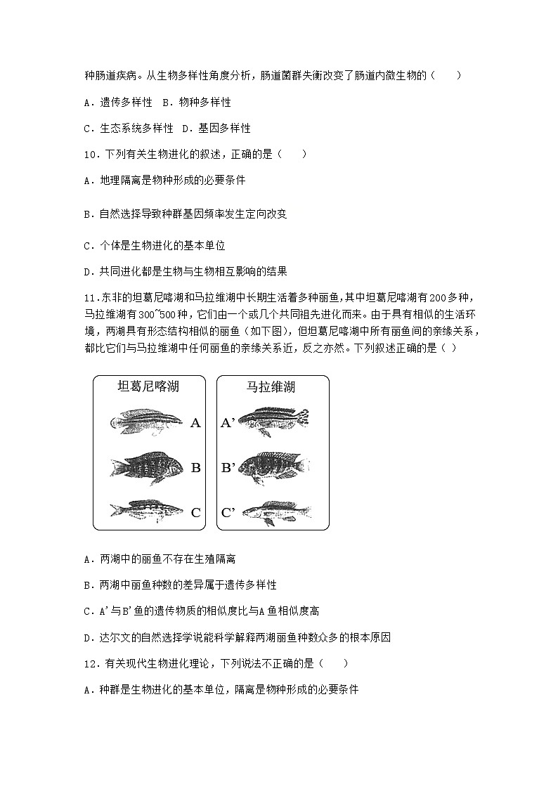 沪教版高中生物必修2第三节生命进化史是自然选择的结果作业含答案203