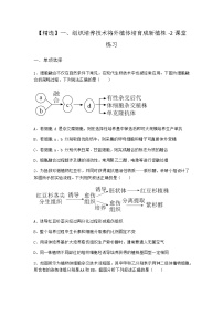 高中生物第二章  细胞工程通过细胞水平的操作获得产品第一节  植物细胞工程包括组织培养和体细胞杂交等技术一、组织培养技术将外植体培育成新植株同步训练题