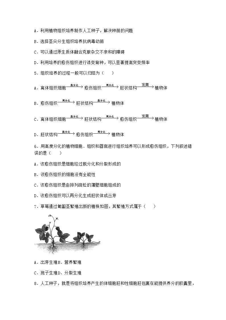 沪教版高中生物选择性必修3一组织培养技术将外植体培育成新植株课堂作业含答案302