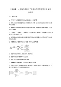 高中生物沪科版 (2019)选修3一、胚胎形成经过了受精及早期发育等过程习题