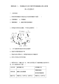 高中生物沪科版 (2019)选修3二、体细胞杂交技术使两种细胞融合育出新植株练习