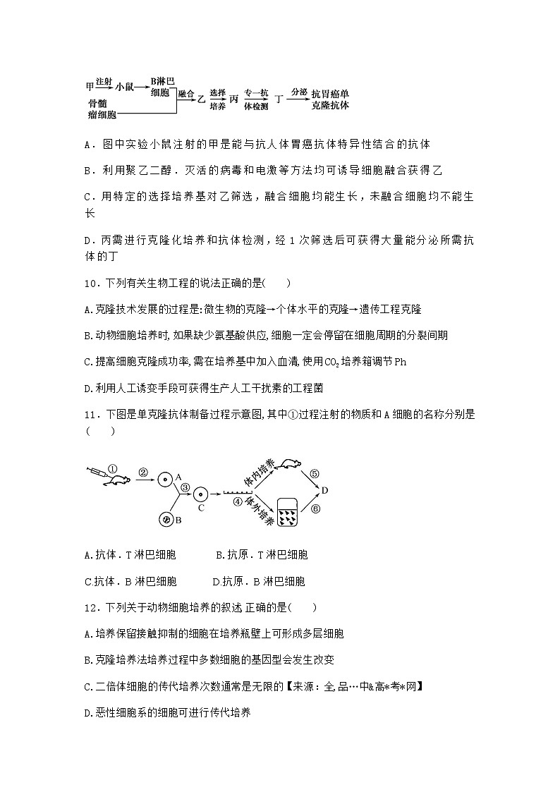 沪教版高中生物选择性必修3三植物细胞工程的应用提高了生产效率优选作业含答案2第3页