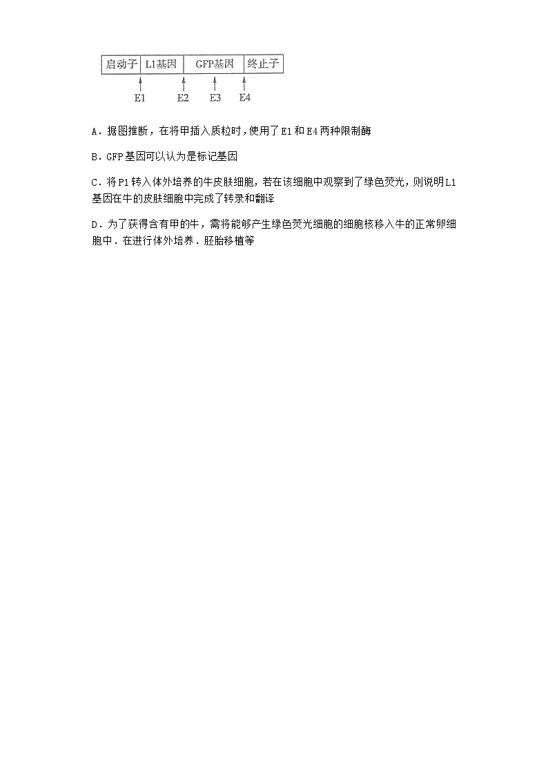 沪教版高中生物选择性必修3二胚胎工程有广阔的应用场景优选作业含答案02