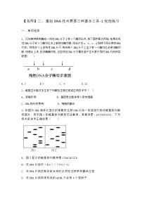 高中生物沪科版 (2019)选修3二、重组DNA技术需要三种基本工具当堂检测题