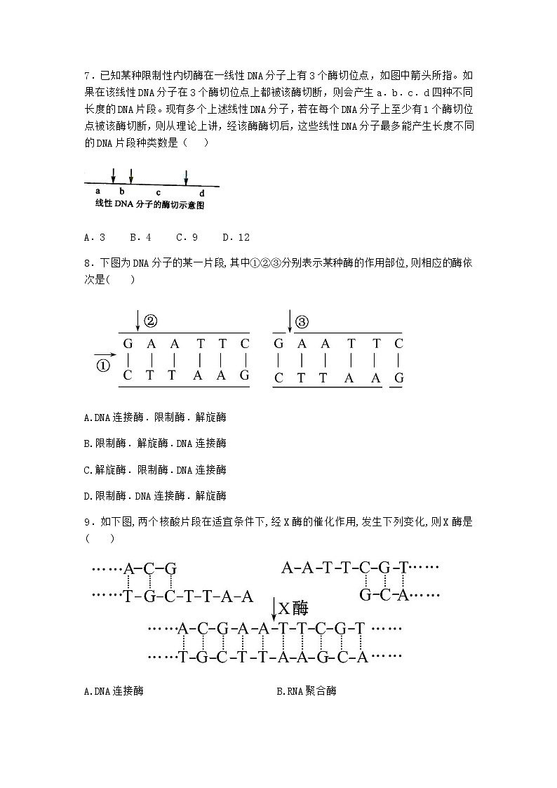 沪教版高中生物选择性必修3二重组DNA技术需要三种基本工具优选作业含答案2第3页