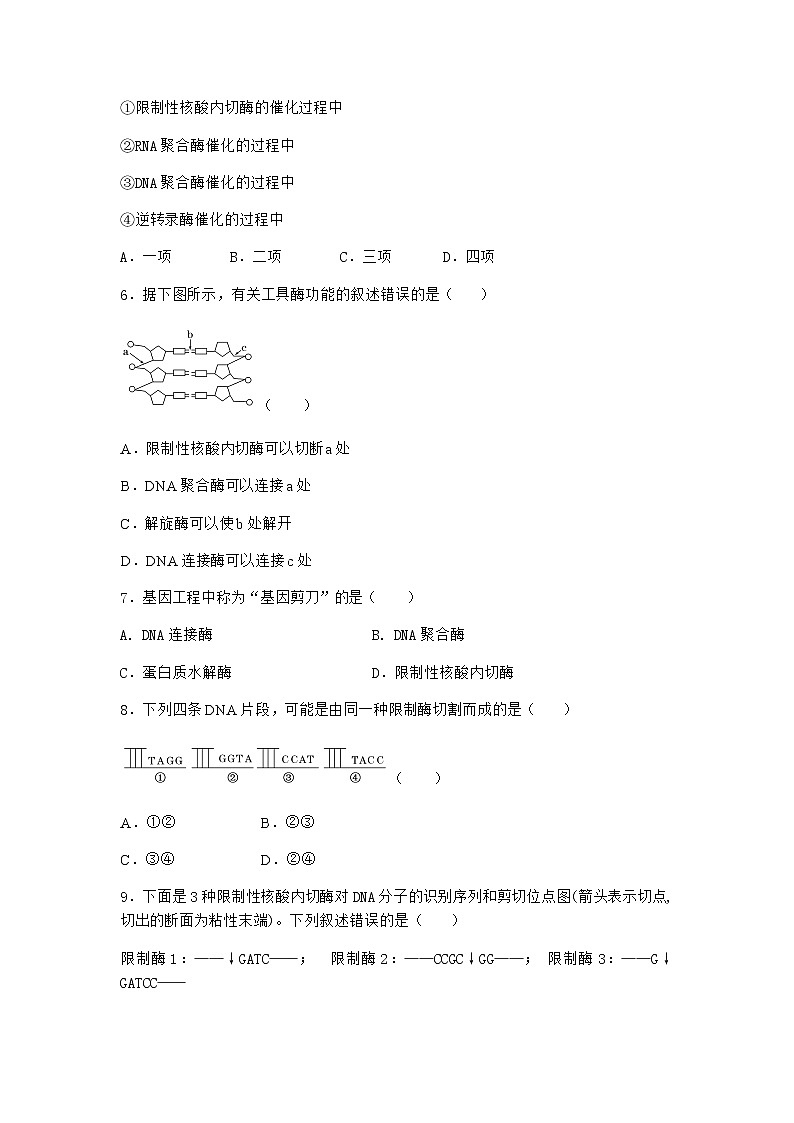 沪教版高中生物选择性必修3重组DNA技术需要三种基本工具优选作业含答案1第2页