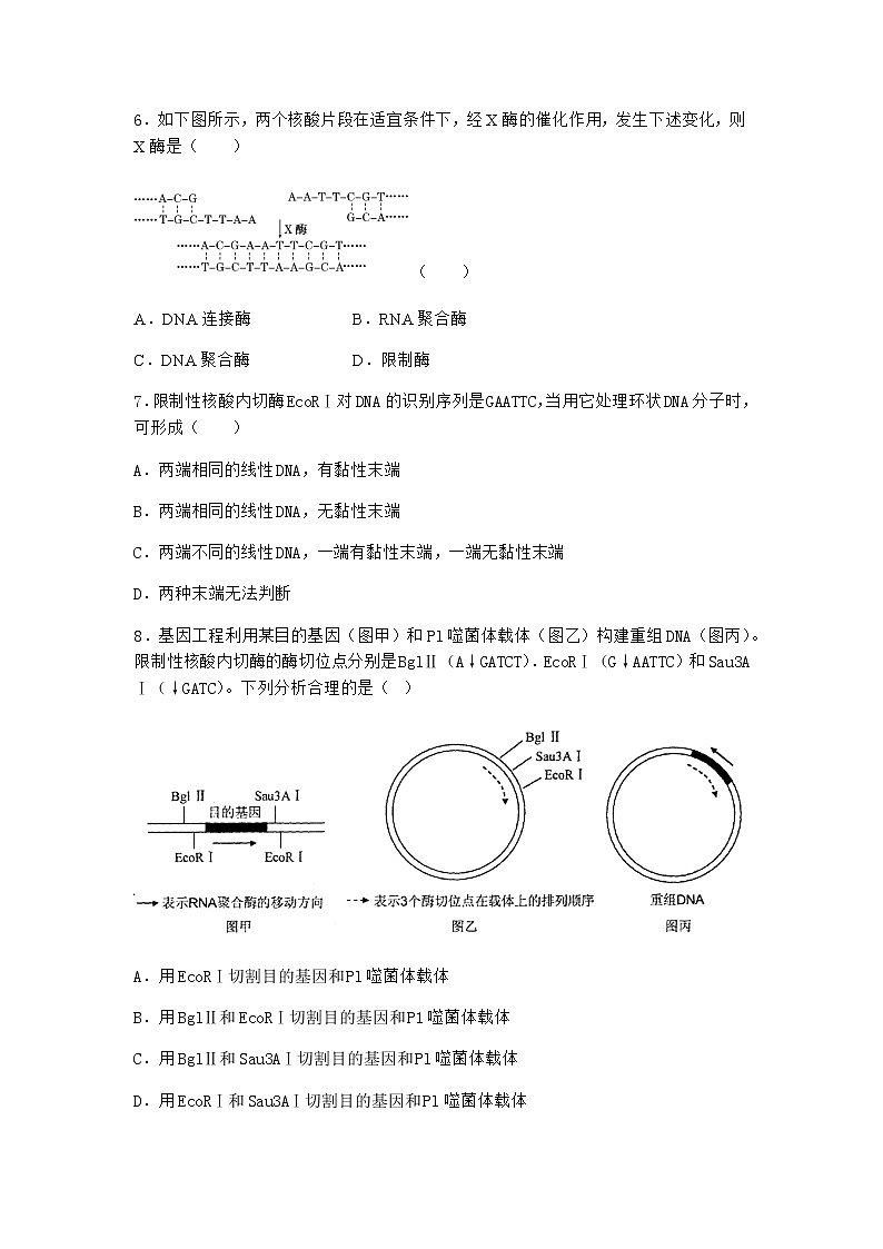 沪教版高中生物选择性必修3重组DNA技术需要三种基本工具优选作业含答案3第2页
