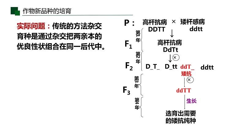 2.1.2植物细胞工程的应用课件PPT08