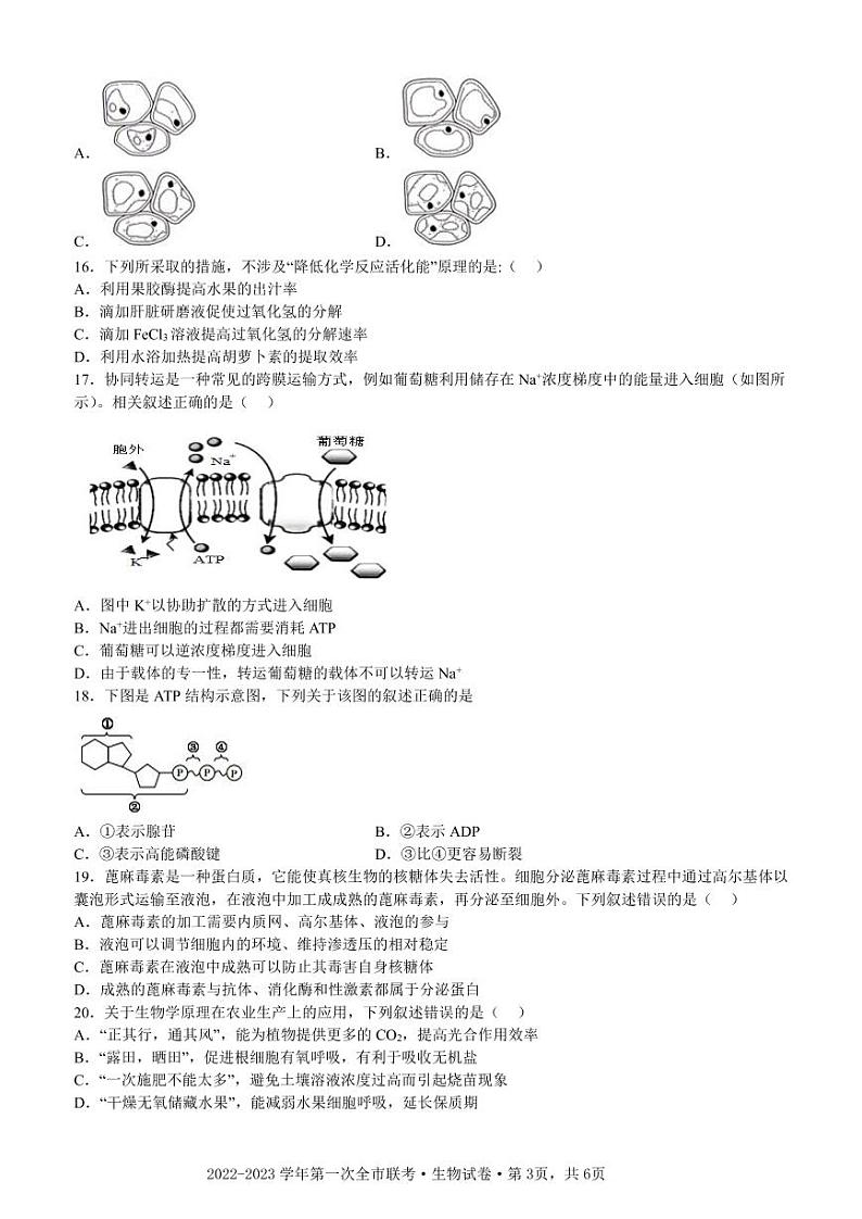 2022-2023学年甘肃省张掖市高一下学期第一次全市联考试题 生物 PDF03