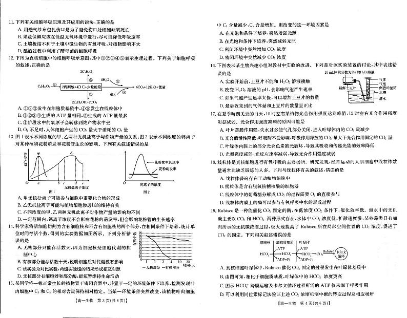 2022-2023学年河南省新乡市高一上学期期末考试 生物 PDF版02