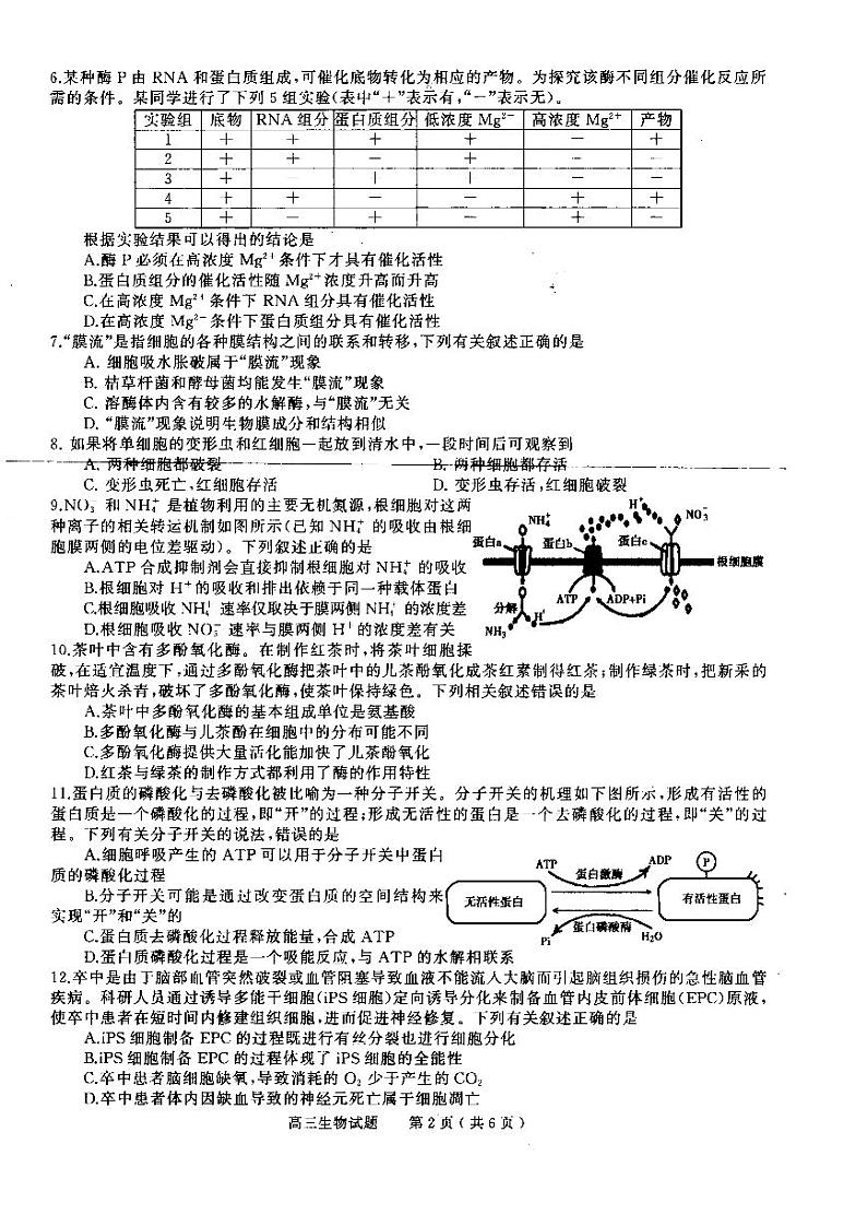 2022-2023学年河南省信阳市高三上学期第一次教学质量检测试题 生物（PDF版）02