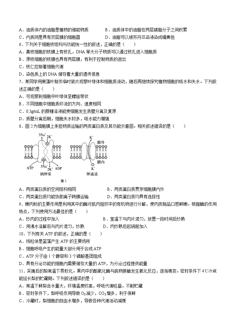 2023玉溪高二上学期期末考试生物试题含答案02