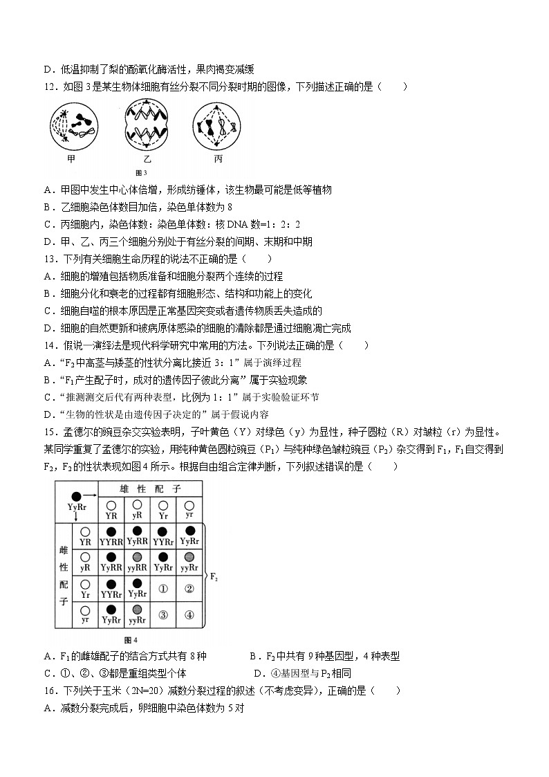 2023玉溪高二上学期期末考试生物试题含答案03