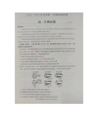 2023济宁高二上学期期末考试生物试题扫描版无答案