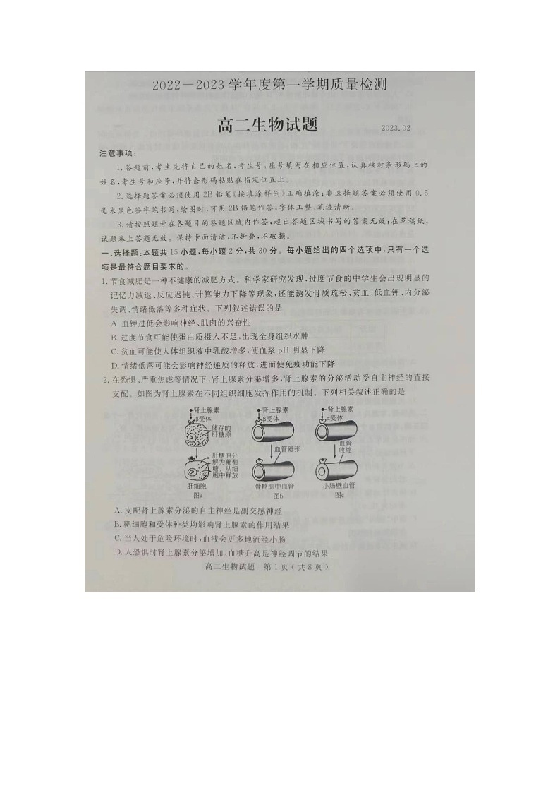 2023济宁高二上学期期末考试生物试题扫描版无答案01
