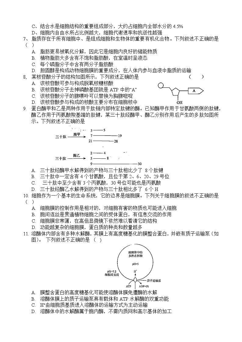 2023洛阳高一上学期期末生物试题含答案02