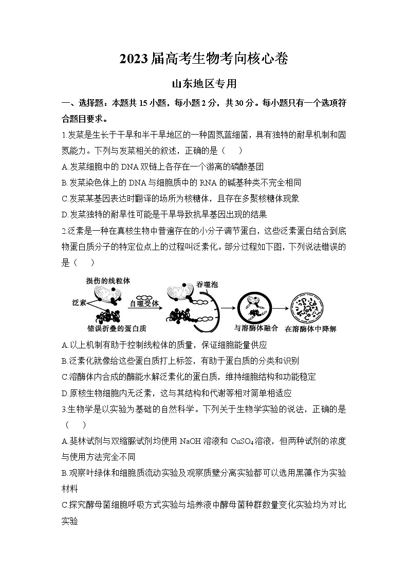 山东省2022-2023学年高三生物下学期高考考向核心卷（新高考）（Word版附解析）01