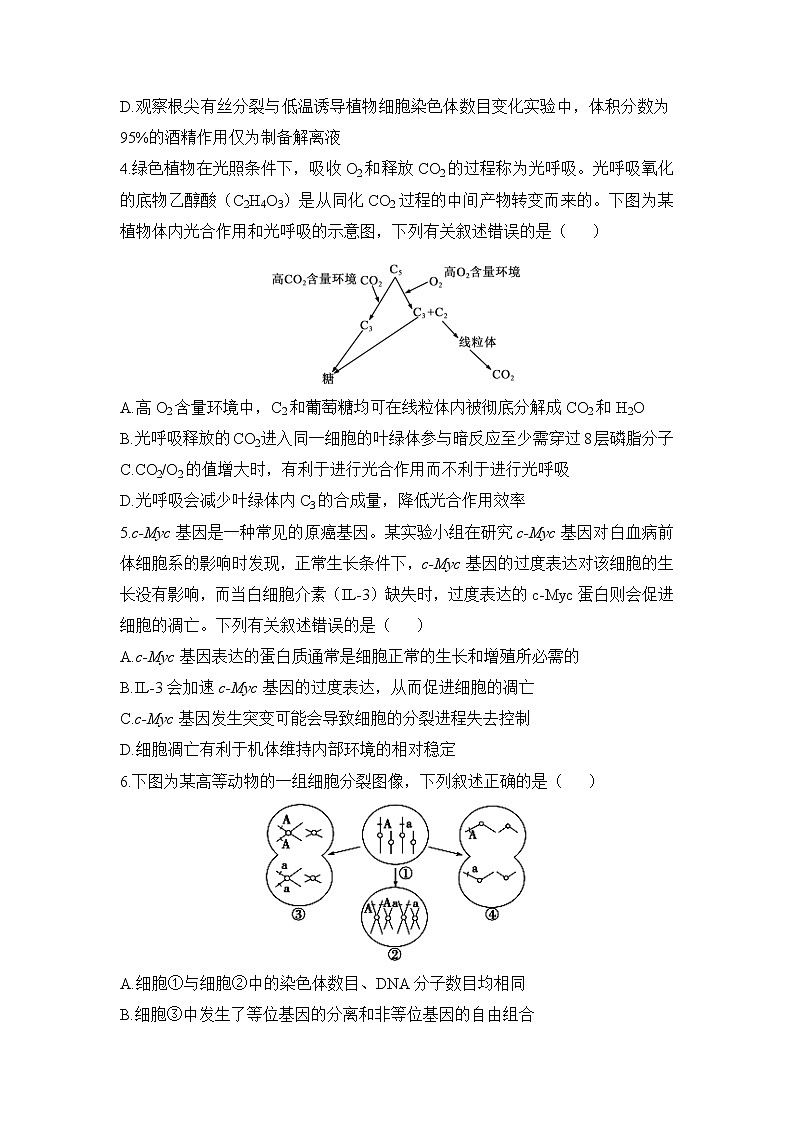 山东省2022-2023学年高三生物下学期高考考向核心卷（新高考）（Word版附解析）02