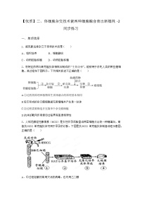 沪科版 (2019)选修3二、体细胞杂交技术使两种细胞融合育出新植株巩固练习