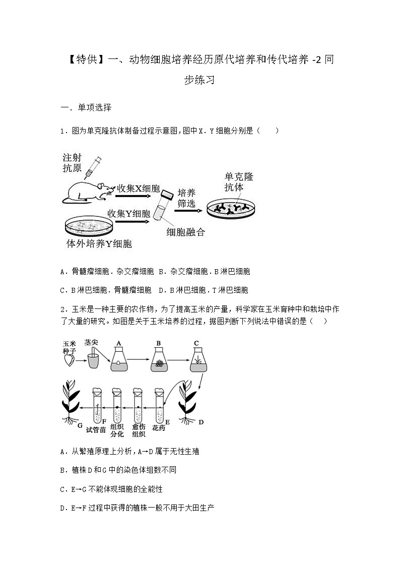 沪教版高中生物选择性必修3动物细胞培养经历原代培养和传代培养同步作业含答案2第1页
