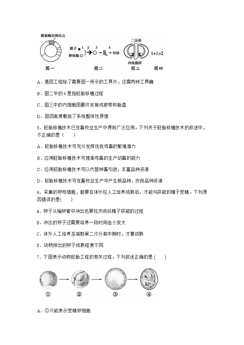 沪教版高中生物选择性必修3核移植技术可实现动物体细胞核的全能性同步作业含答案102