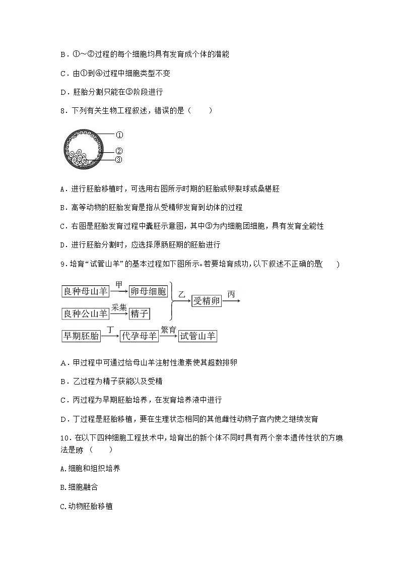 沪教版高中生物选择性必修3核移植技术可实现动物体细胞核的全能性同步作业含答案103
