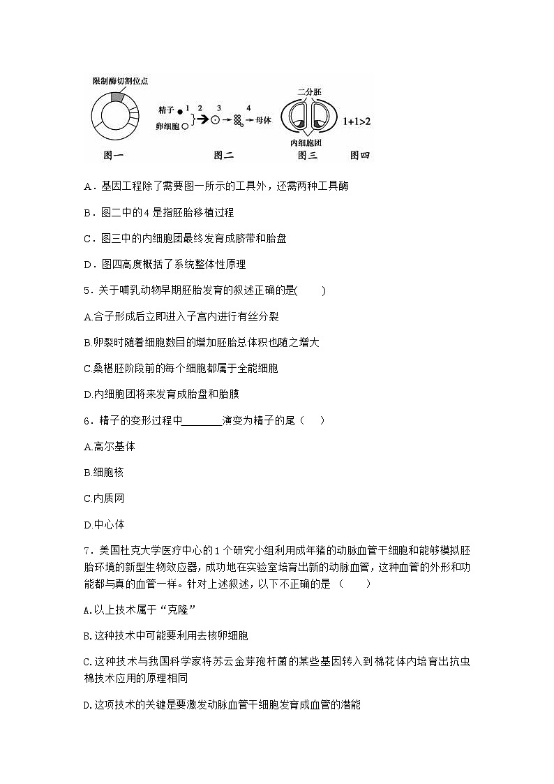 沪教版高中生物选择性必修3核移植技术可实现动物体细胞核的全能性同步作业含答案302
