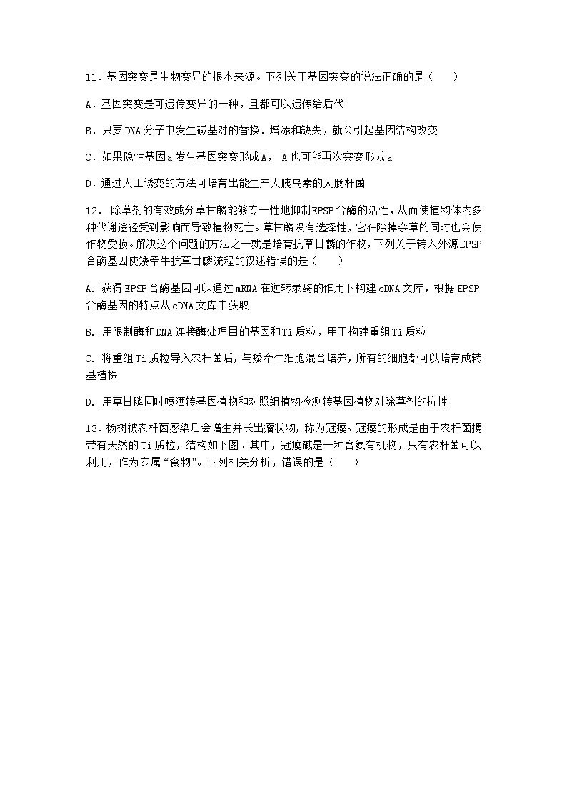 沪教版高中生物选择性必修3基因工程赋予农作物新的优良性状作业含答案3第3页