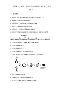 高中生物沪科版 (2019)选修3一、基因工程赋予农作物新的优良性状当堂检测题