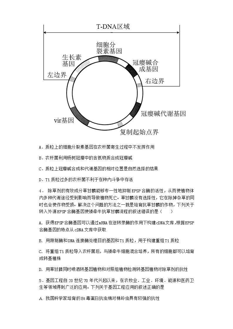 沪教版高中生物选择性必修3基因工程赋予农作物新的优良性状作业含答案11第2页