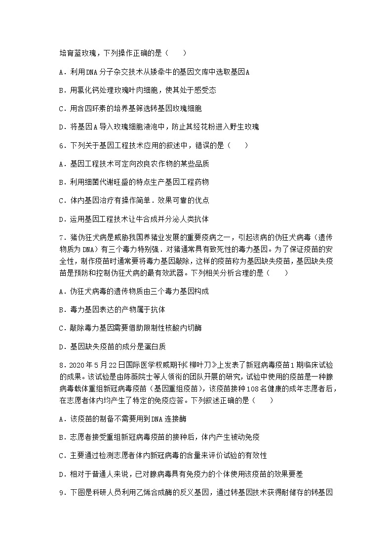 沪教版高中生物选择性必修3基因工程赋予农作物新的优良性状课时作业含答案1第2页